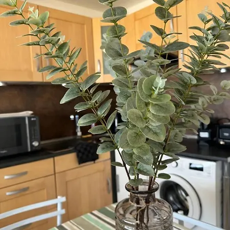 Le Refuge Marin - - Front De