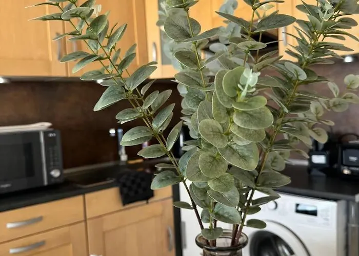 Le Refuge Marin - - Front De